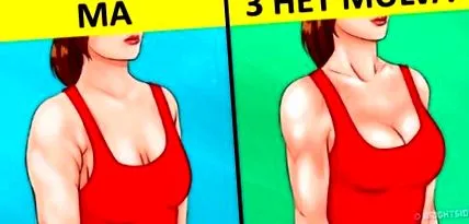 красиви лесни