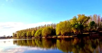 umede hectare