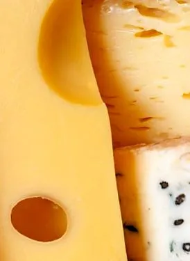 formaggi quattro