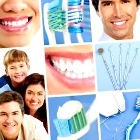 gingiilor gingiilor