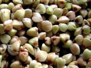 alimente principal