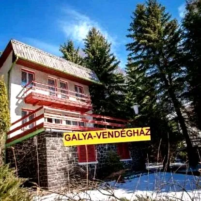 гости galya