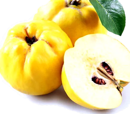 proaspăt