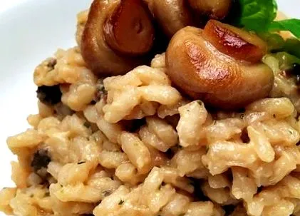 gastrohobby гъби
