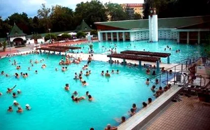 керівниця сернові