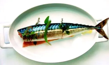 fish gordon