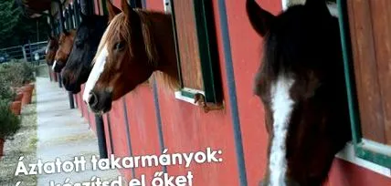 equimins корм