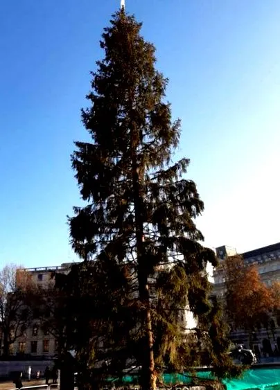 považovaný považovaný