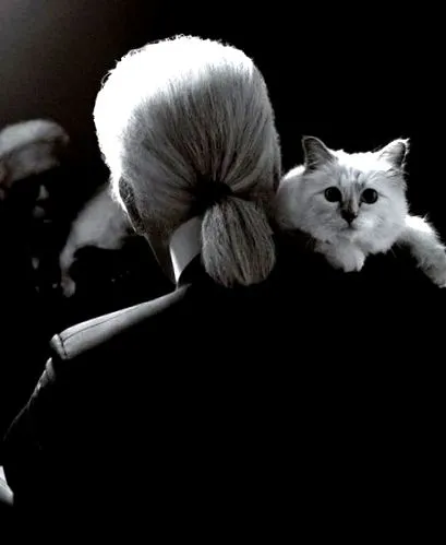 lagerfeld