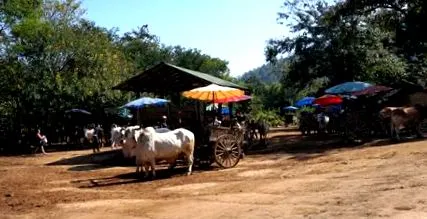 thaiföldi thaiföldi