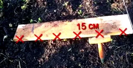 Зошто оплодиме