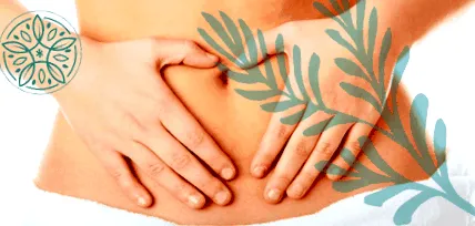szervezet