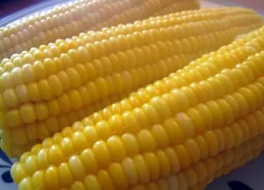 kukorica
