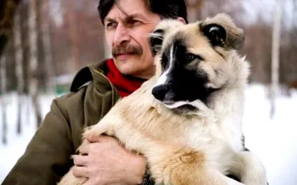 причини причини