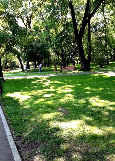 urgisitului bukarest