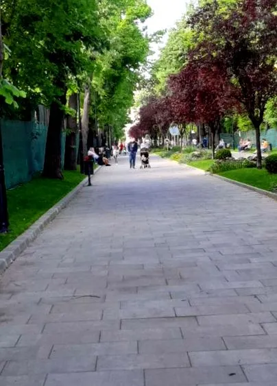 tett bukarest