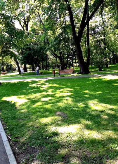 bukarest tett