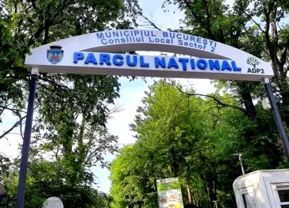 tett parkban