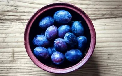 obnáša