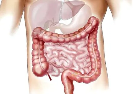 körül