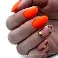 amely eleji