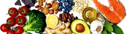 proteinhouse blog