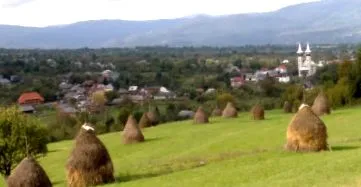 tehén