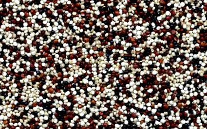 quinoa gabona