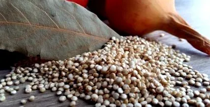 gabona quinoa