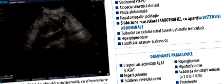 kulcsfontosságok