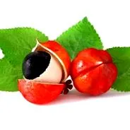 raspberryketone700