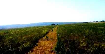 посадки