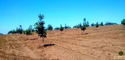 рекомендації