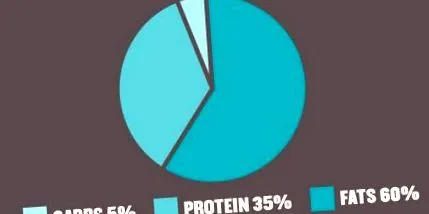 ketogén