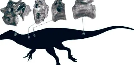 tyrannosaurus dinoszauruszfaj