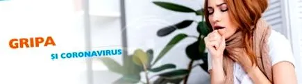 sieť