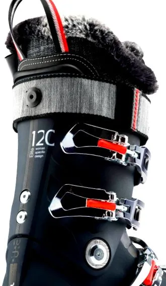 rossignol