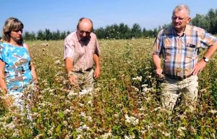 хоризонта успех