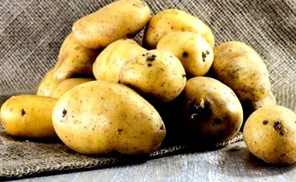 картоплею кінцевий