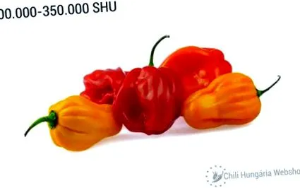 інтернет-магазин chili