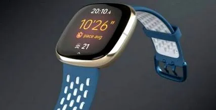 fitbit world