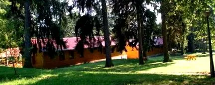 sportul slabire