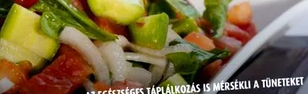 шлунка дванадцятипалої