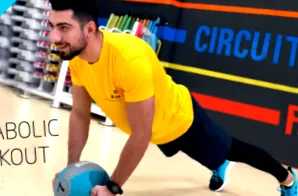 kangoo