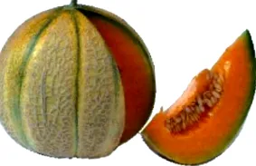 akkora mint