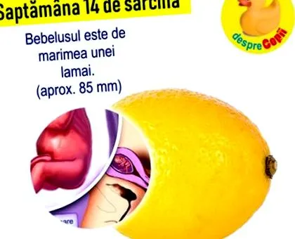 lenyomattal