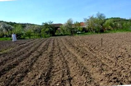 селото роди