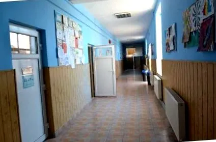 роди роди