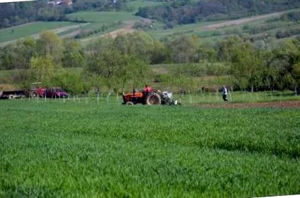 сиромаштијата роди