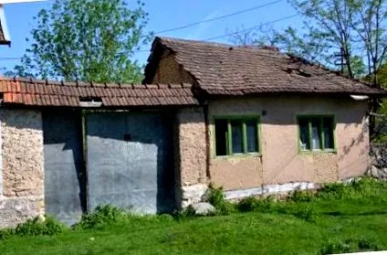 роди роди